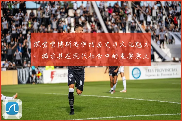 探索索博斯洛伊的历史与文化魅力，揭示其在现代社会中的重要意义