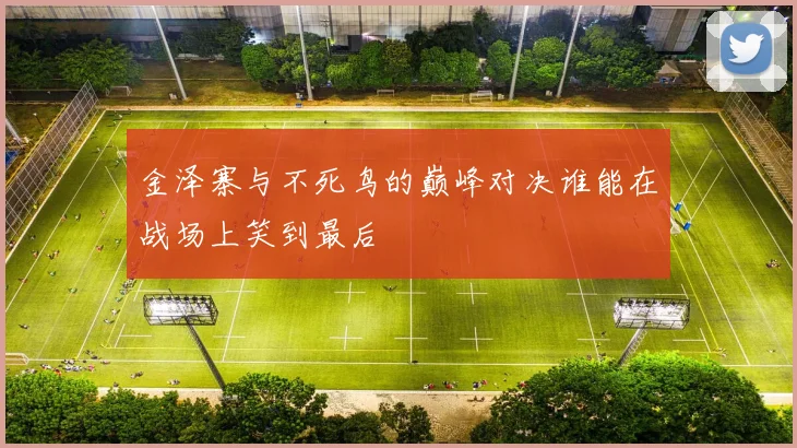 金泽寨与不死鸟的巅峰对决谁能在战场上笑到最后