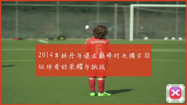 2014年林丹与谌龙巅峰对决揭示羽坛传奇的荣耀与挑战