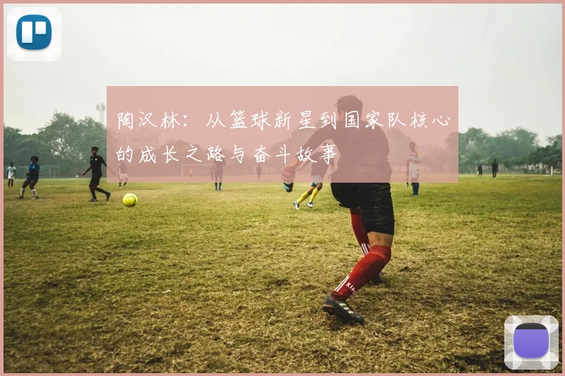 陶汉林：从篮球新星到国家队核心的成长之路与奋斗故事