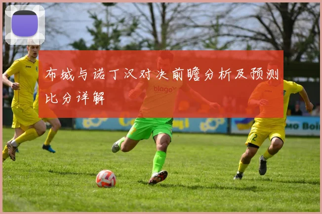 布城与诺丁汉对决前瞻分析及预测比分详解