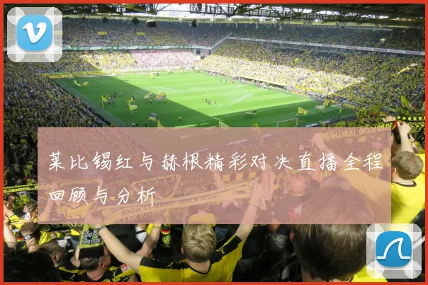 莱比锡红与赫根精彩对决直播全程回顾与分析
